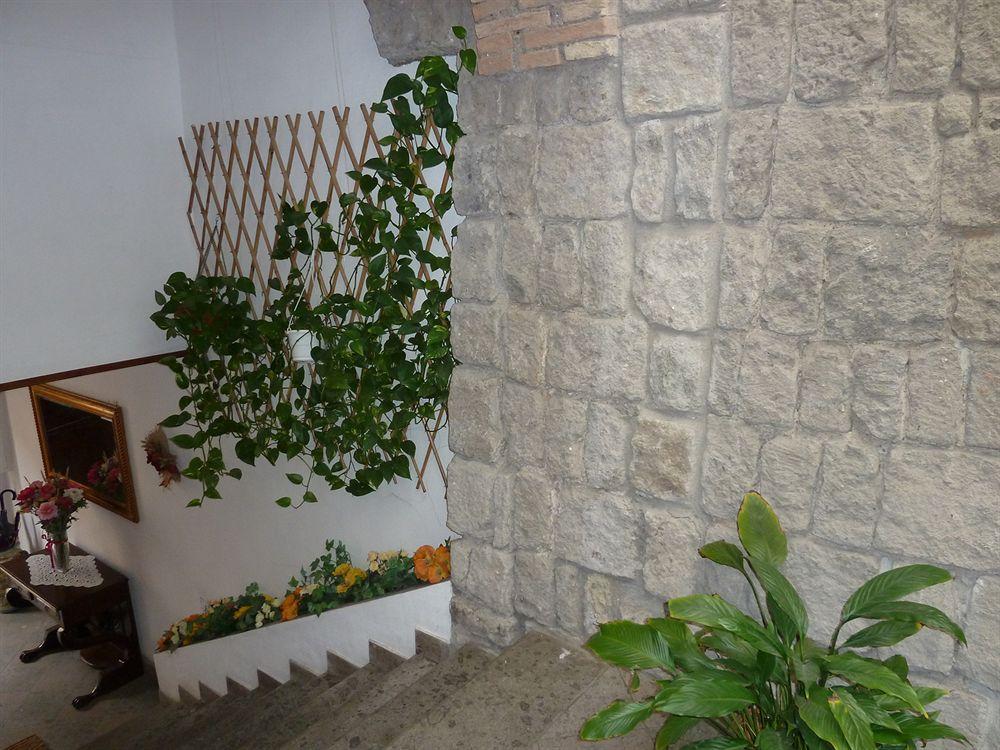 Bed and Breakfast Bb Santa Rosa Viterbo Exterior foto
